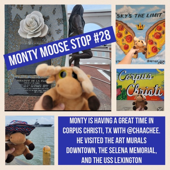 Other - MONTY MOOSE TRACKING!     Where in the Posh Universe is Monty Moose?